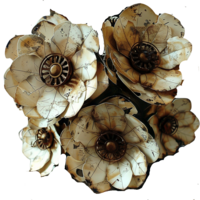 Steampunk Rose Element in Steampunk Star Showit Template Representing Timelessness