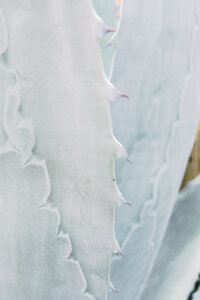 black and white photo of bride and groom, the bride has a tattooed hand