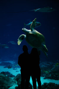 Tags Photography promotes date night photoshoots in Atlanta, GA