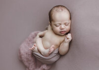 Posted studio newborn photography in Denver Colorado Erin Jachimiak Photography