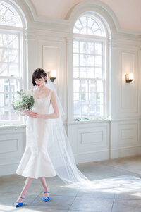 Long tulle veil with clip