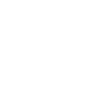 the-bridal-theory-logo