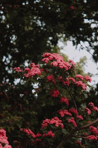 mat-reding-Py6Ak7bKHY4-unsplash