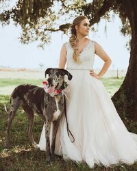 Abby Parker of Parker's Great Danes 