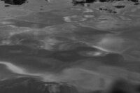 KAengagement-taylorroachphoto-7_websize