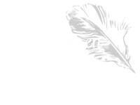 chosen feather logo