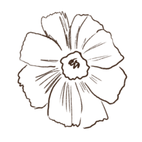 darkbrownFloral4 copy