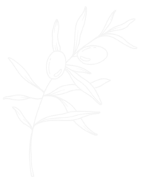Decorative Olive Branch