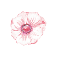 icon-flower