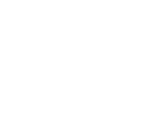 best newborn photographer 2024
