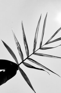 okeykat-Hbj4rZbHDP4-unsplash