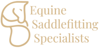 Zwaan zadelservice, zadelproblemen, duurzame ruitersport, paardenwelzijn, paard, blessures, ruiter, zadel, zadelpasconsult, palpatie, controle, nieuw zadel, zadelmerken, frank baisses saddlery, ikonic saddlery, arena saddles, wintec saddles, treeclix, LeMieux, acavallo, connect, revalidatie, veiligheidscheck zadel, bijvullen, singelstoten vervangen