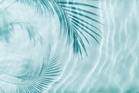 Eau turquoise avec ombres de feuilles de palmiers