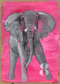8 olifant