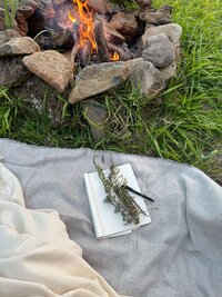 IMG_9129