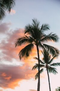 kvnga-v0Yle4uDl5M-unsplash