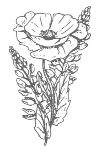 Logomark_gray