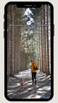 Wondercide dog tick spray instagram reel partnership