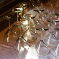 35mm film photo of sparkling champagne glasses