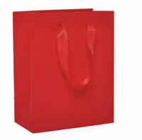 Mini Red Gift Bag(1)