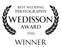 Wedisson award winner