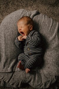 newborn