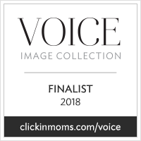 2018VoiceCollection_Finalist_badge