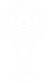 floral illustration