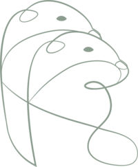 custom illustration of otter for K.S.Otter events