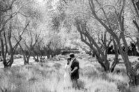 Couple embraces at the base of a tree in Santa Ynez
