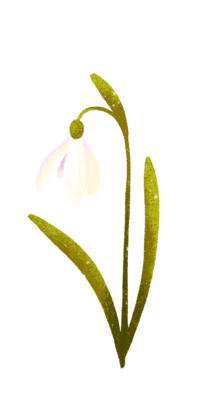 Floral_Illustration