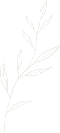 Graphic of white leaf twig