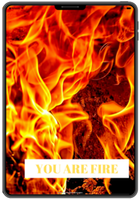 fire feng shui element book by rodika tchi - your personal energy - feng shui home and life makeover with rodika tchi feng shui master consultant vancouver bc canada