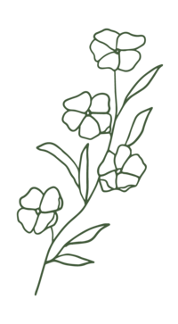 Spell Events web element floral line art
