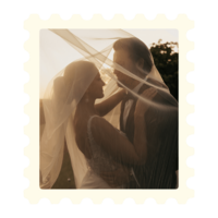 Bride and groom look into each other's eyes at Minnesota golden hour