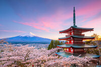 Extraordinary journey to Japan.