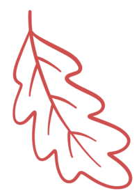 leaf icon