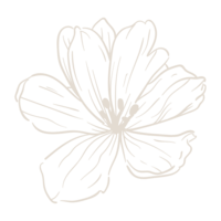 Brand flower icon for Skinlux Beauty Bar, representing full glam bridal makeup services in NYC, NJ & PA.