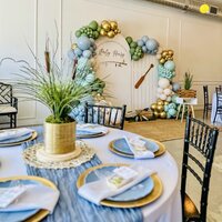 Dallas Party, Venue, Baby Shower, Birthday, Bridal Shower, Engaged, Wedding, Corporate, Events