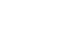 MassNow Logo