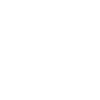 7 News