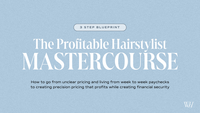 profitable hairstylist mastercourse blueprint on computer
