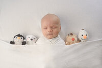 Newborn tucked in bed with Christmas lovies. In home newborn photo session by E. Benecki photography