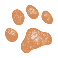 orange paw print