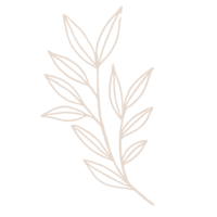 leaf illustration