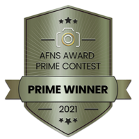 Prime award  from the 2021 AFNS Prime Awards    photography competition badge
