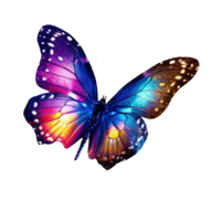 Ethereal Butterfly Design in Fairy Star Showit Template Reflecting Delicate Beauty