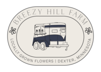 life coach website primary colors