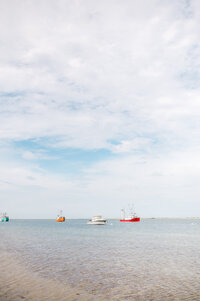 A peaceful coastal scene featuring small colorful fishing boats anchored in the calm waters of Chatham Harbor under a soft blue sky.