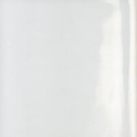 Porcelain Pearl Glossy (White)-0882